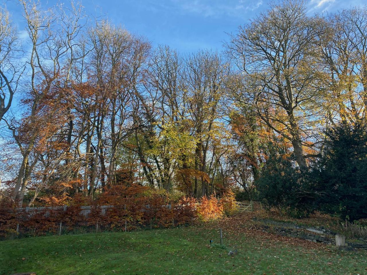 Mill Cottage Garden Studio Nr Мелроуз Екстериор снимка